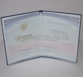 Диплом Техникума 2022г Киржач в Краснодаре