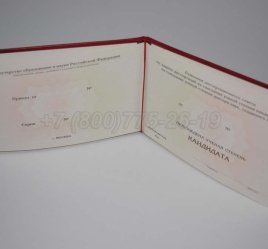 Диплом Кандидата Наук 2023г в Краснодаре