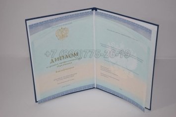 Диплом Техникума 2023г СпецБланк в Краснодаре