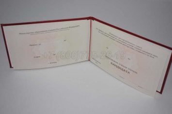Диплом Кандидата Наук 2022г в Краснодаре