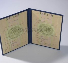 Диплом о Высшем Образовании Украинской ССР в Краснодаре